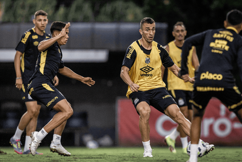 É hora de estreia para o Santos na Copa do Brasil: o Peixe recebe o CRB na Vila Belmiro, às 18h desta quinta-feira, pela 3ª fase do torneio.