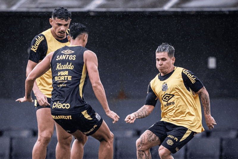 A 8ª rodada do Campeonato Brasileiro será encerrada nesta segunda-feira (12), com Santos e Ceará se enfrentando no Allianz Parque, em SP.