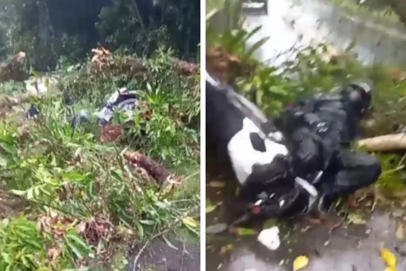 Um motociclista ficou ferido após colidir com uma árvore que estava atravessada na pista da Rodovia Ariovaldo de Almeida Viana, que liga