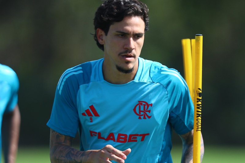 O Flamengo está disposto a ouvir propostas por Pedro, artilheiro do clube na temporada até sofrer lesão. Embora a diretoria negue que...